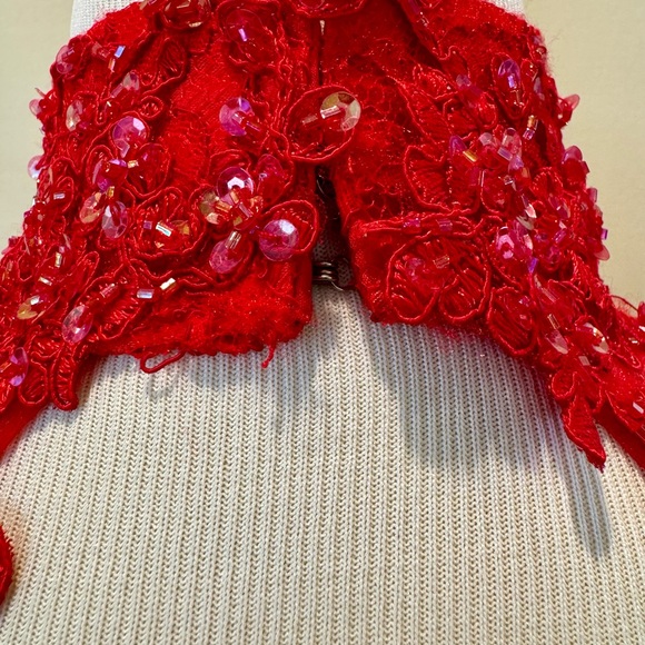 Customized Red Lace Fit to Flare Scallop Edge Gown - Picture 3 of 7